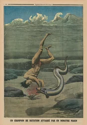 A Swimming Champion Attacked by a Sea Monster, back cover illustration from 